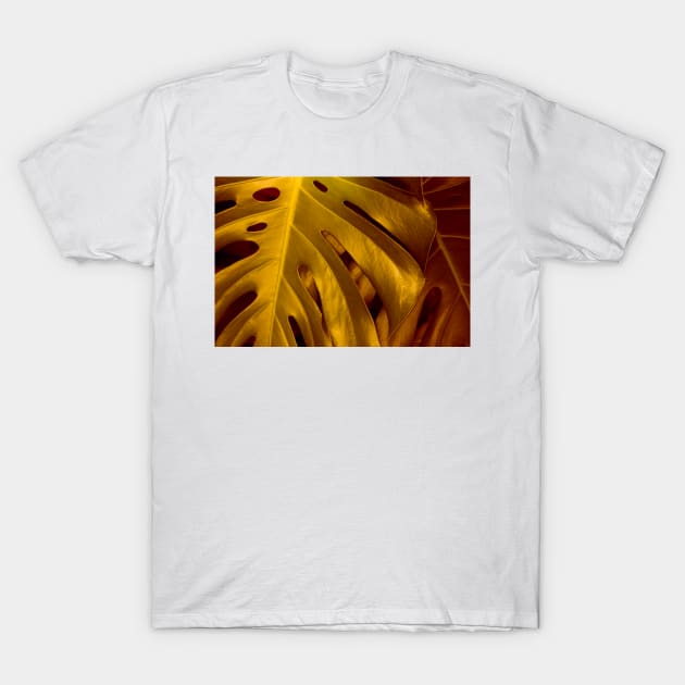 Gold Leaf T-Shirt by becky-titus